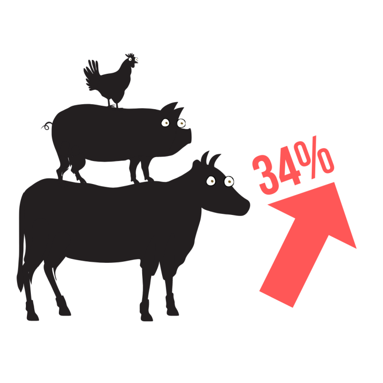 Deep dive delivers definitive data on meat marketplace