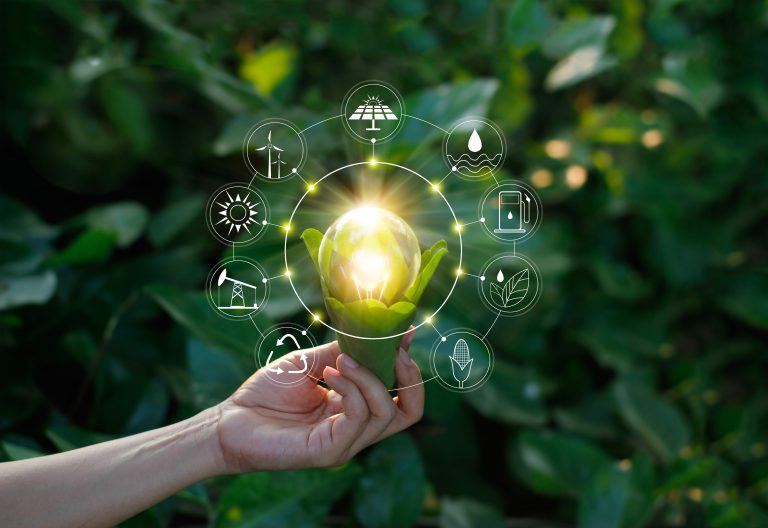 Green energy reality check