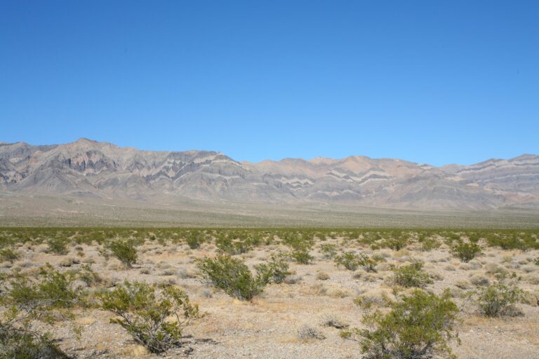 Wanted: tech companies with land and money to form local governments in Nevada