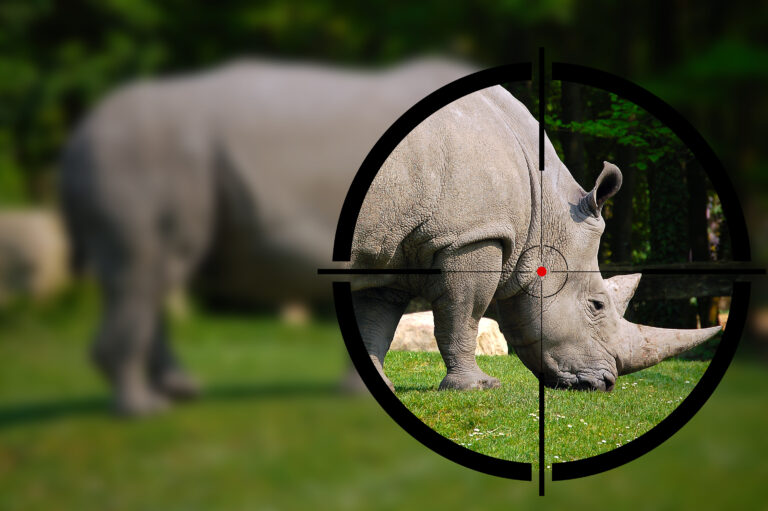 Wildlife conservation – a big and often misunderstood game