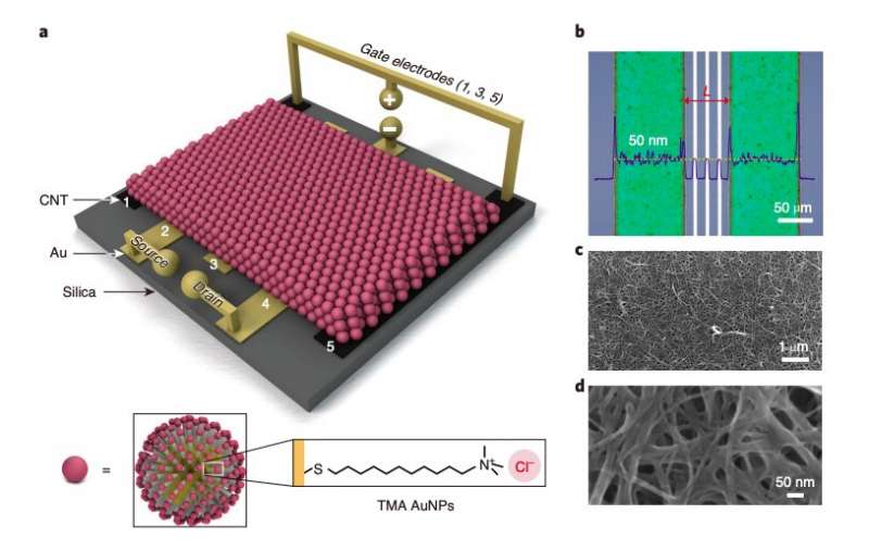 New metal-nanoparticle-based transistor design shows great promise