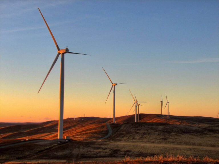 Renewables Part 2: cost and economic viability