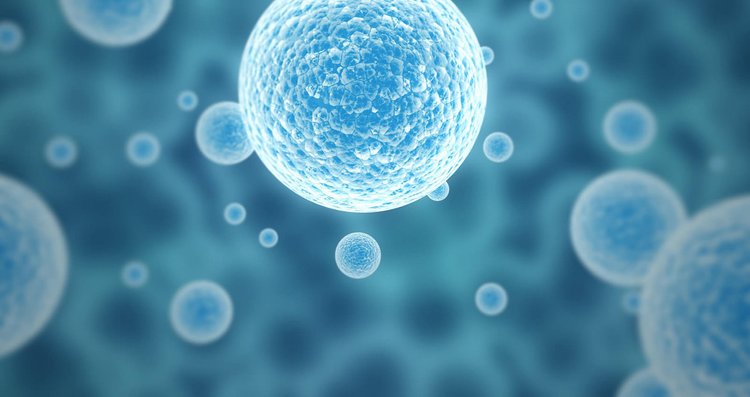 Scientists create cell with bare essentials for life and reproduction
