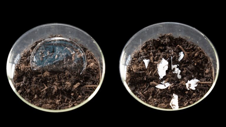 New method could make some plastics compostable