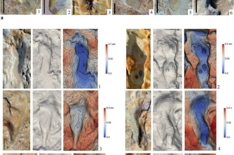 Heavy rains reveal hominid footprints thought to be 106,000 years old