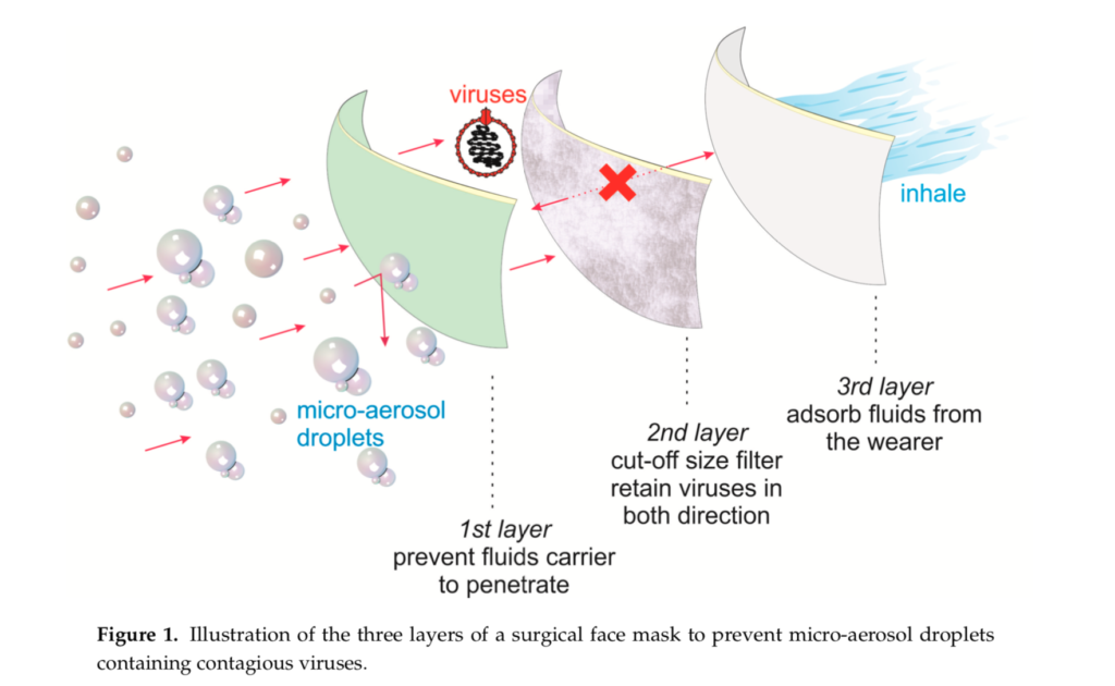 Face the facts – diving into the science of masks