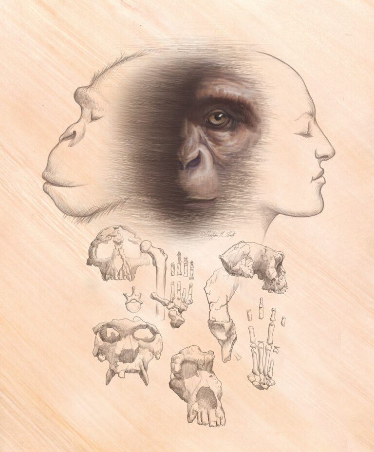 Human origin narrative ‘a big mess’