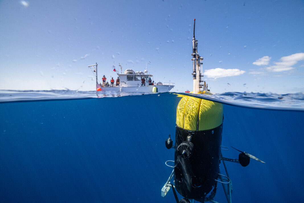 Underwater robot tracks creatures in mid-ocean 'twilight zone'