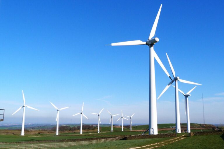 Farms in close proximity are braking wind