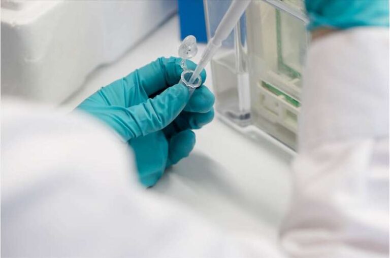 YAPon/YAPoff – Sinai scientists’ findings place all cancers in two categories