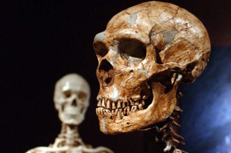 We ain’t so special – study indicates just 7% of modern human DNA is unique