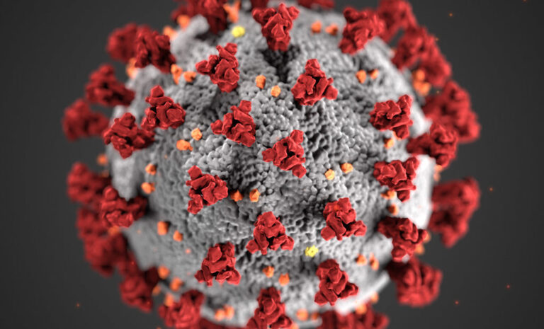 Researchers examine role of sugar molecules on spike protein in COVID-19 transmission
