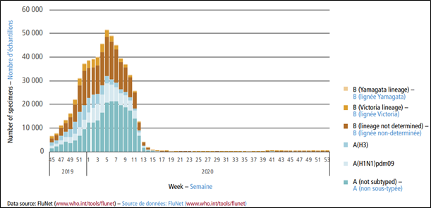 Where did the flu go – and do we miss it?