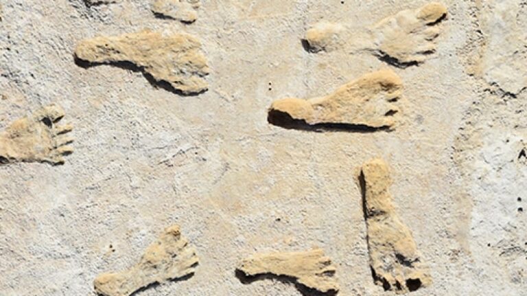 Ice-age footprints indicate humans arrived in North America earlier than thought