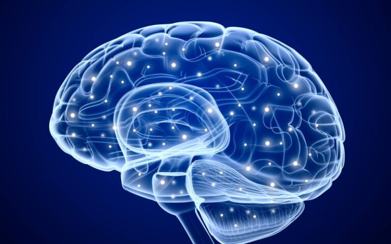 Inexpensive drug arginine could enhance effectiveness of radiation therapy, study indicates