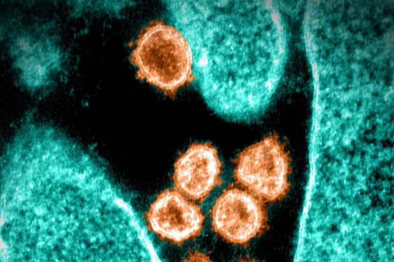 The latest on COVID variant Omicron