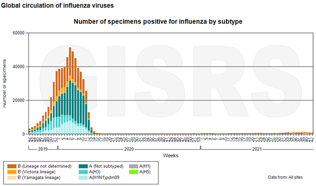 Is flu vaccination important this year?