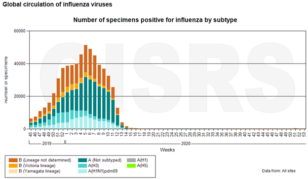 Is flu vaccination important this year?