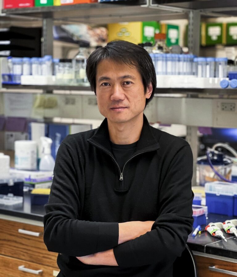 Common gene mutation increases cancer risk, research indicates