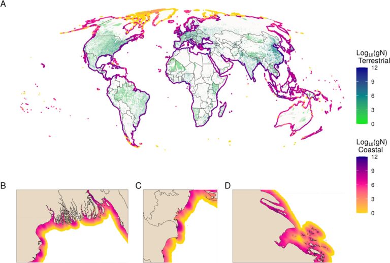 Human wastewater having ‘staggering’ impact on coastal ecosystems, say study authors
