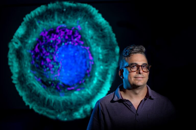 ‘Analysis pipeline’ provides rapid insight into how cells are changed by disease