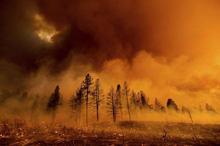 Machine learning helps researchers gain important insights on wildfire probabilities