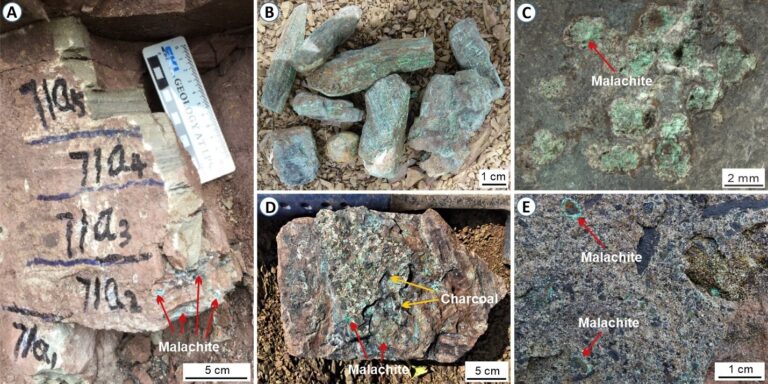 Study indicates that ‘volcanic winter’ likely contributed to ecological catastrophe 250 million years ago