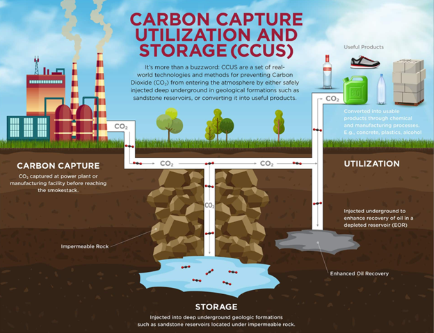Capturing carbon – the science and the subtleties