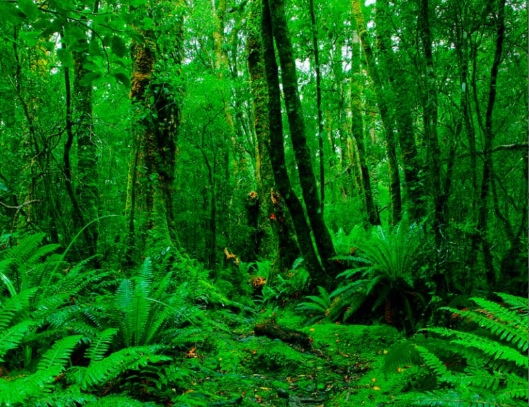 Combatting climate alarmism with important facts and context