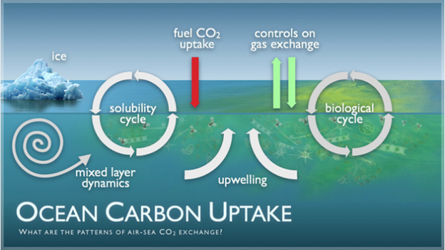 Capturing carbon – the science and the subtleties