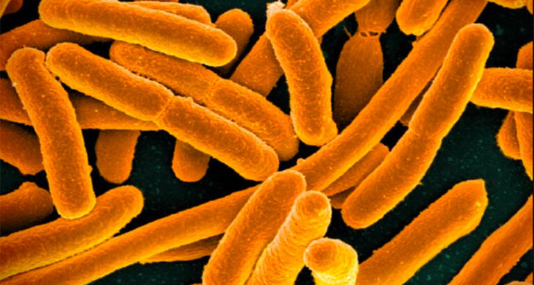 Strongest is not always the victor in toxic microbial warfare