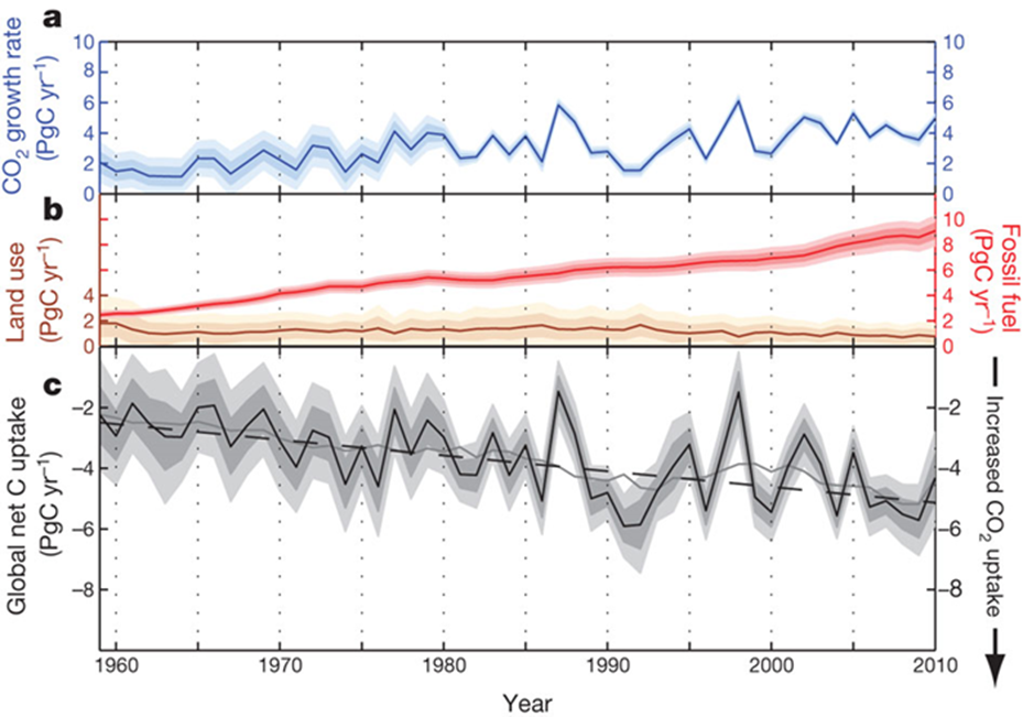 Capturing carbon – the science and the subtleties