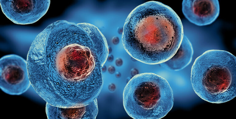 Ground-breaking research brings us closer to growing human organs for transplantation