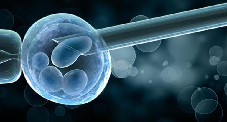 Researchers call for assessment of profound ethical implications in genetic embryo testing