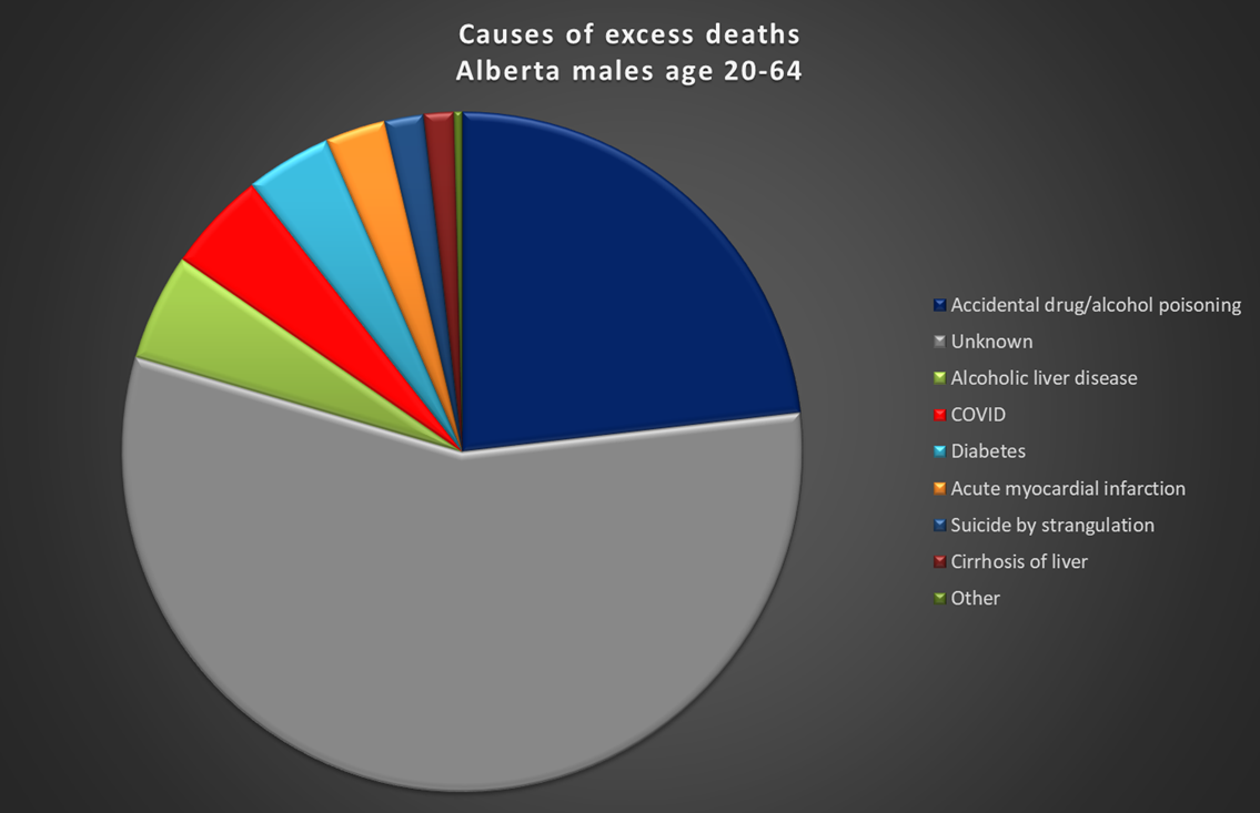 Analysis of excess deaths in 2020 reveals surprising deviations