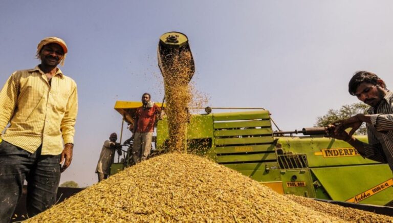 Can India feed the world?