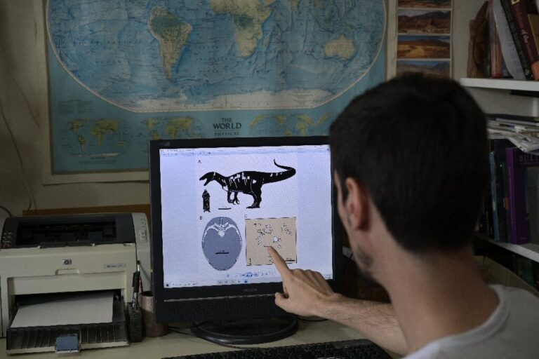 Three-storey megaraptor unearthed in Argentina