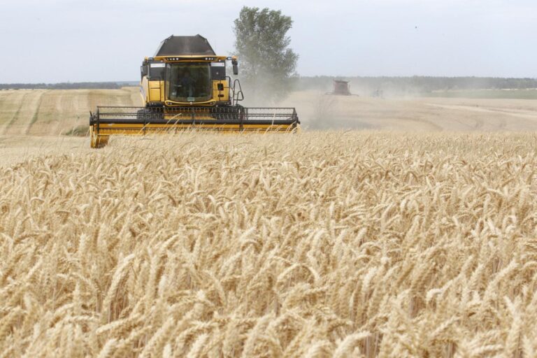 UN says Ukraine invasion could help cause lengthy global food crisis