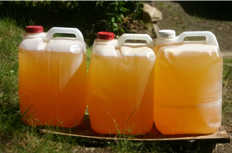 Looking for an alternative fertilizer? Urine luck!