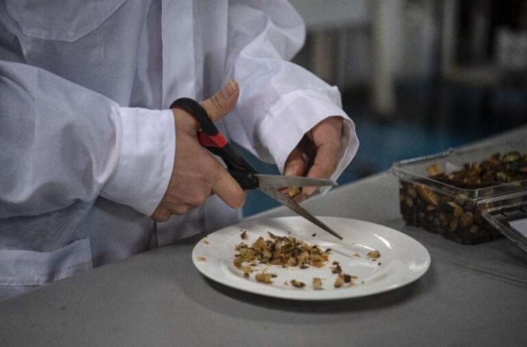 University of Chile serves up special 3D kids meal