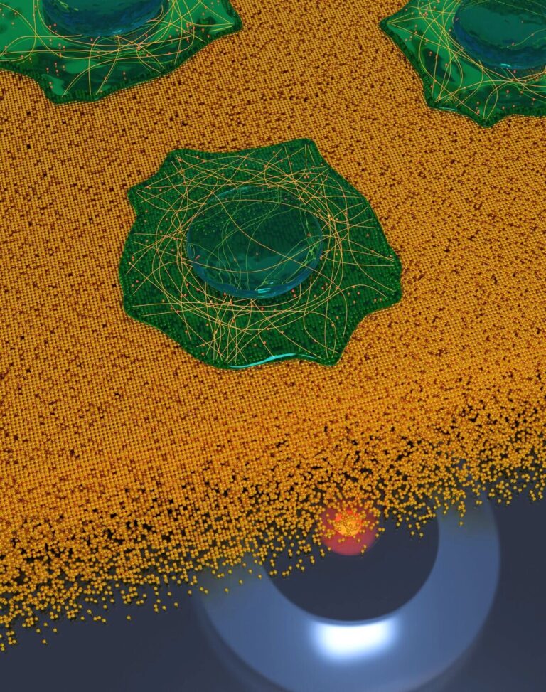 Microscopy technique enables 3D super-resolution nanometer-scale imaging