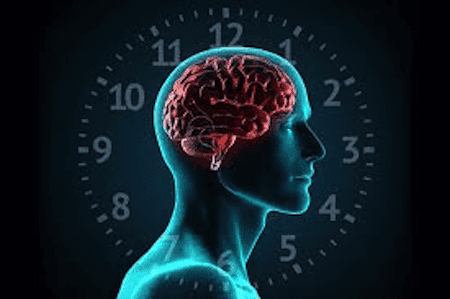 Research reveals circadian clock influencing cell growth, metabolism, and tumour progression