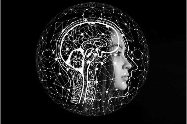Individuals value information as they do material objects, study indicates