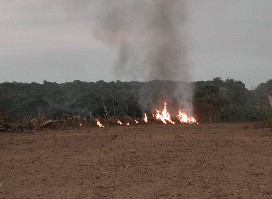 Fire in Amazon associated more with agricultural burning and deforestation than drought