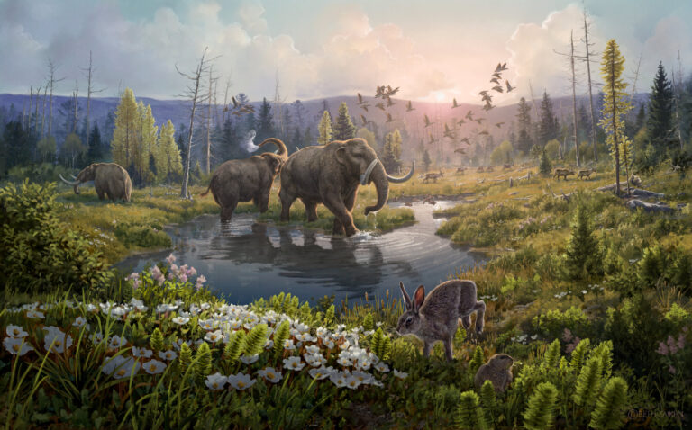 Discovery of oldest DNA breaks record by one million years
