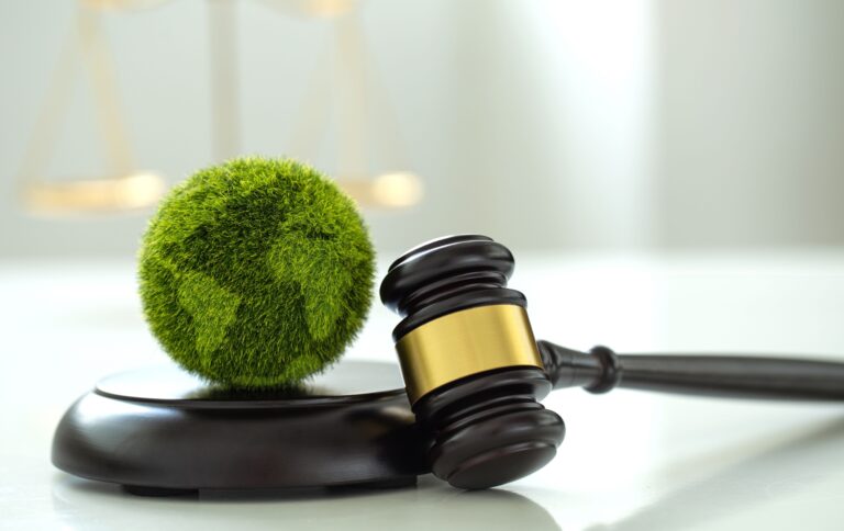 Can climate be litigated?