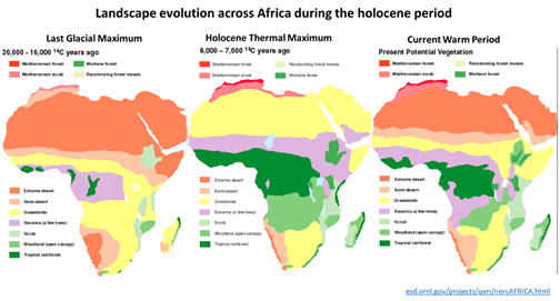 Optimal holocene climate is in our rear-view mirror