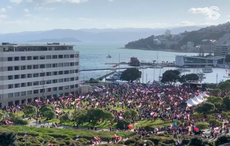 New Zealand’s capital prepares for huge Maori protests