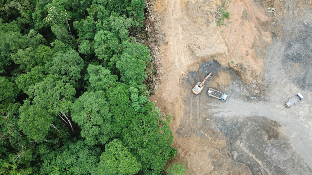 Exploring the importance of natural resources
