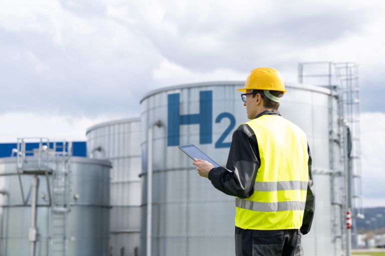 Hydrogen – net-zero saviour or fantasy?